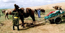 Mongolia-Gobi Steppe-Camel & Horse Trek near Gobi